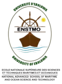 Logo ENSTM